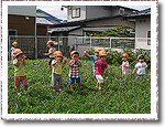 1歳児