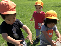 公園遊び